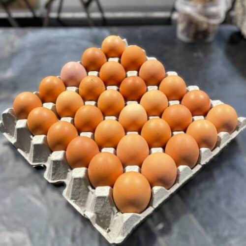 散养鸡蛋（8号托盘装）